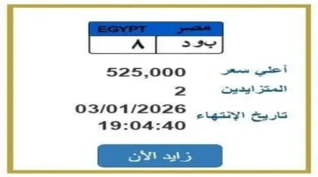 مزايدة قياسية.. لوحة سيارة في مصر تحقق 525 ألف جنيه